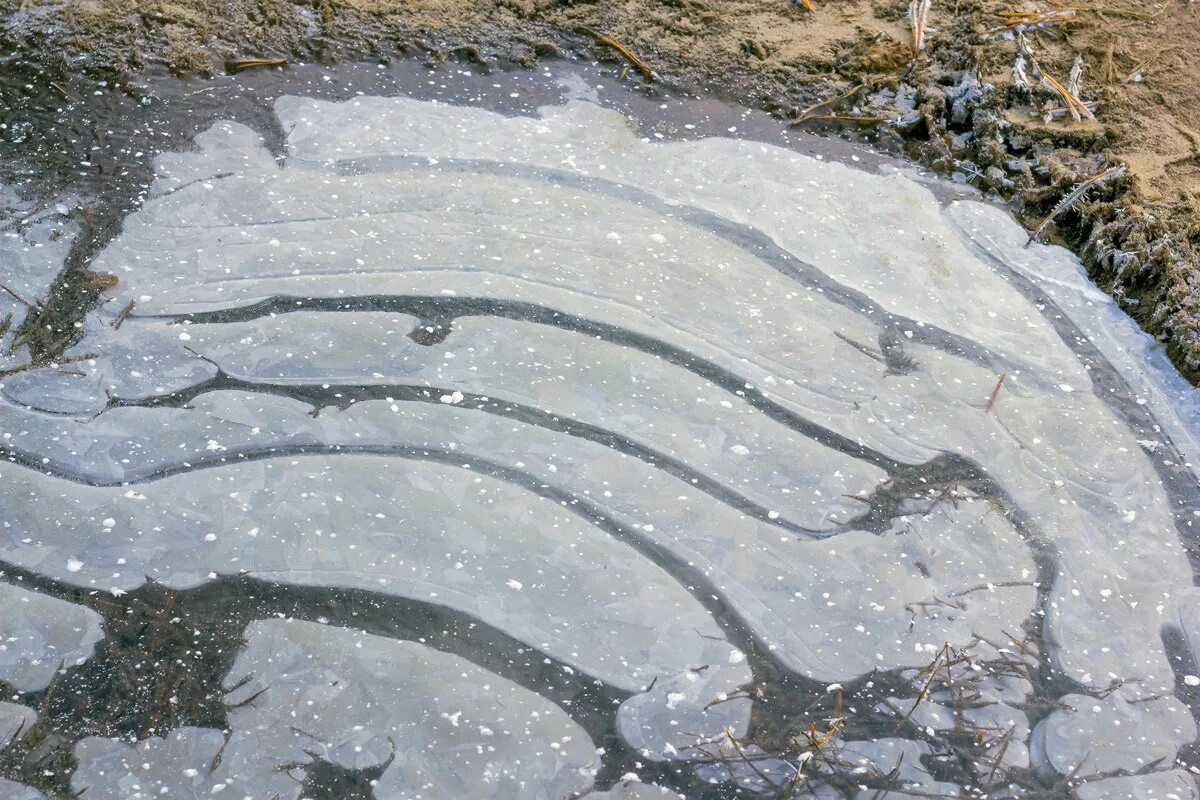 Ледяная лужа. Замерзшая лужа. Лед лужа. Лед лужа. Корка льда на луже.