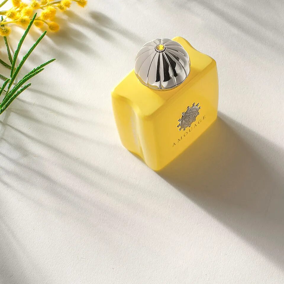 Амуаж лав мимоза. Amouage мимоза. amouage love mimosa 100мл. amouage sunshine. амуаж мимоза фото.