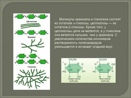 Молекулы синтеза крахмала