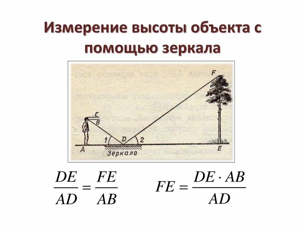 Измерение высоты предмета задача. Измерение высоты дерева. Измерение высоты объекта с помощью зеркала. Измерение высоты дерева с помощью зеркала.