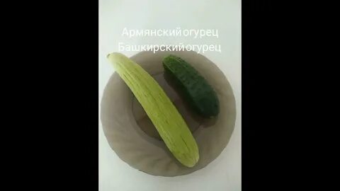 Огурец вкус дыни