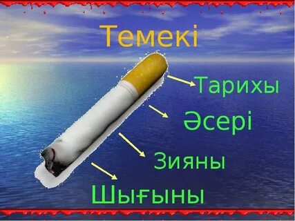 Қыздардың тұрып зәр шығару видеосы