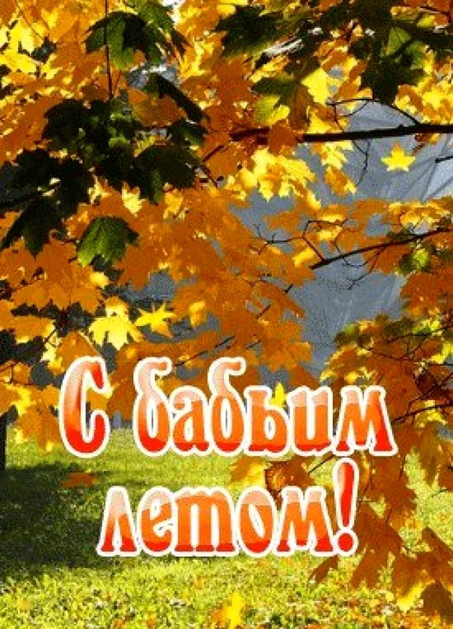 Бабье лето. Поздравление с бабьем летом. С бабьим летом. Открытки с бабьим летом. Бабье лето открытки.