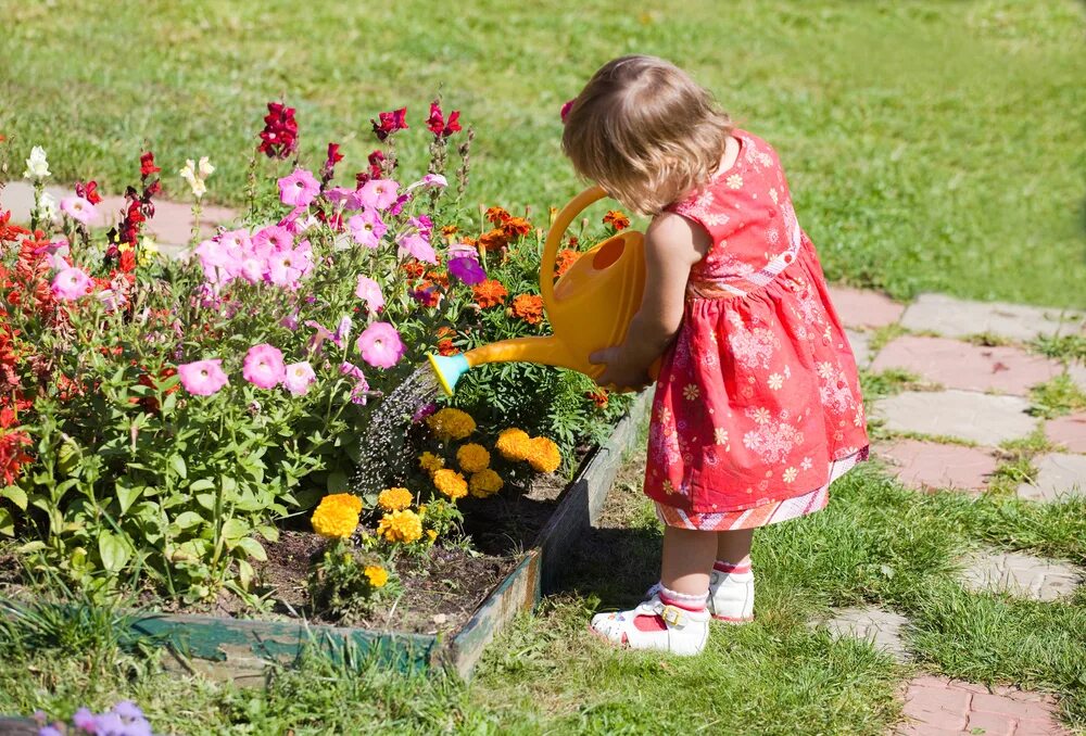 Дети вырастили цветы. Цветочки в саду. Клумбы в саду. Клумба для детей. Клумба огород для детей.