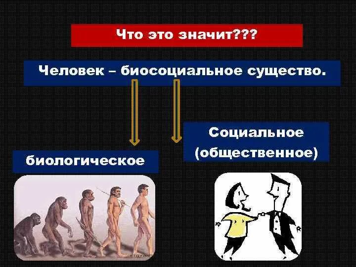 Личность биосоциальное существо. Человек биосоциальное существо. Человек как биологическое существо. Что значит человек существо биосоциальное. Что значит человек биологическое существо.