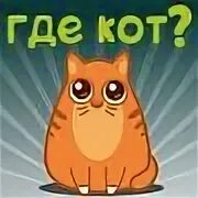 Где кот какой кот