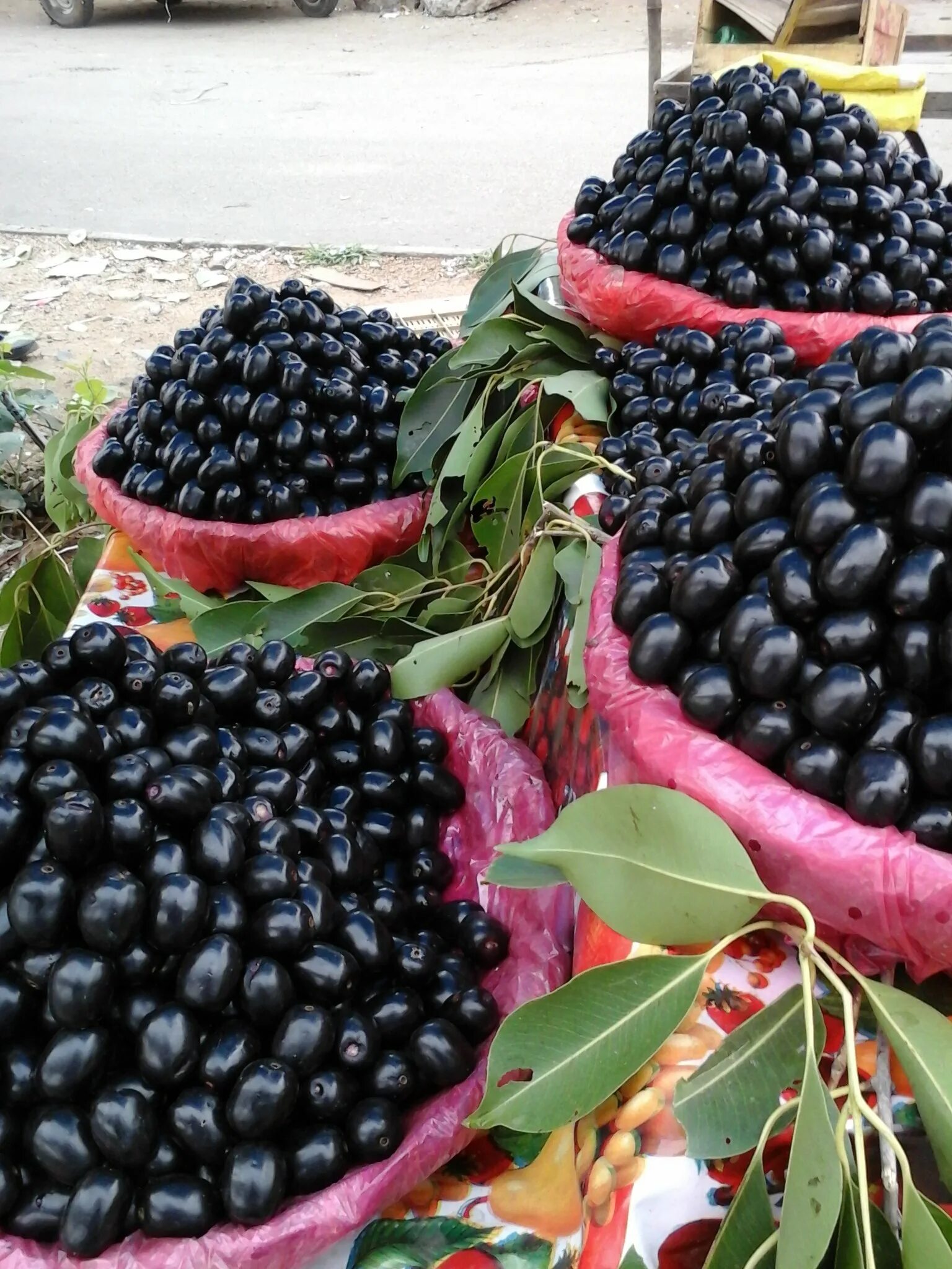 Черный фрукт название. Jamun фрукт. Ягоды джамун. Джамболан дерево. Джамбул армянский фрукт.