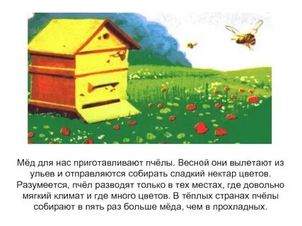 Улей прочитай