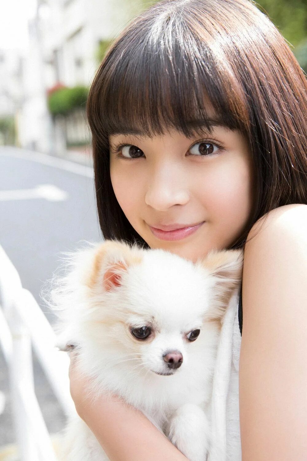 Порода акита ину взрослая. Фотосессия с японским шпицем. Акита-ину и сиба-ину. Японская порода собак акита цу. Собаки японская девочка.