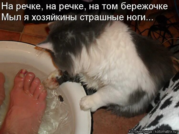 На речке на том бережочке. На речке на речке ноты. Рязанские мадонны ноты для баяна. Усталая подлодка ноты. На том бережочке мыла.