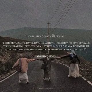 Почему ненавидели друг друга