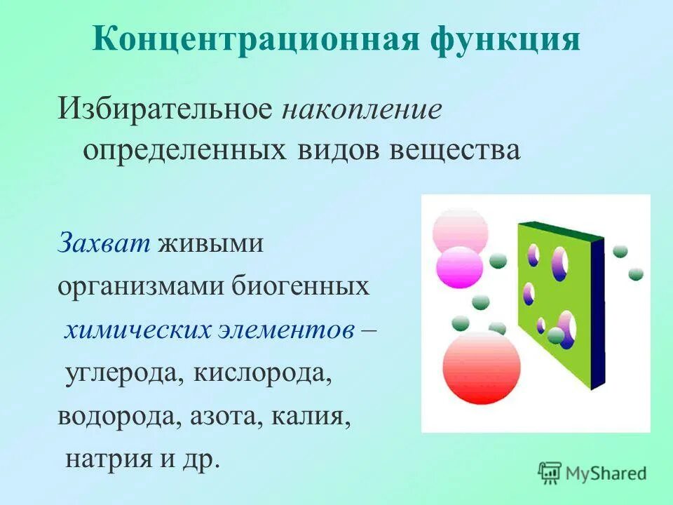 Кислород биогенный элемент. Биогенные химические элементы. Биогенные химические элементы. Биогенные элементы. Кислород роль в организме че.