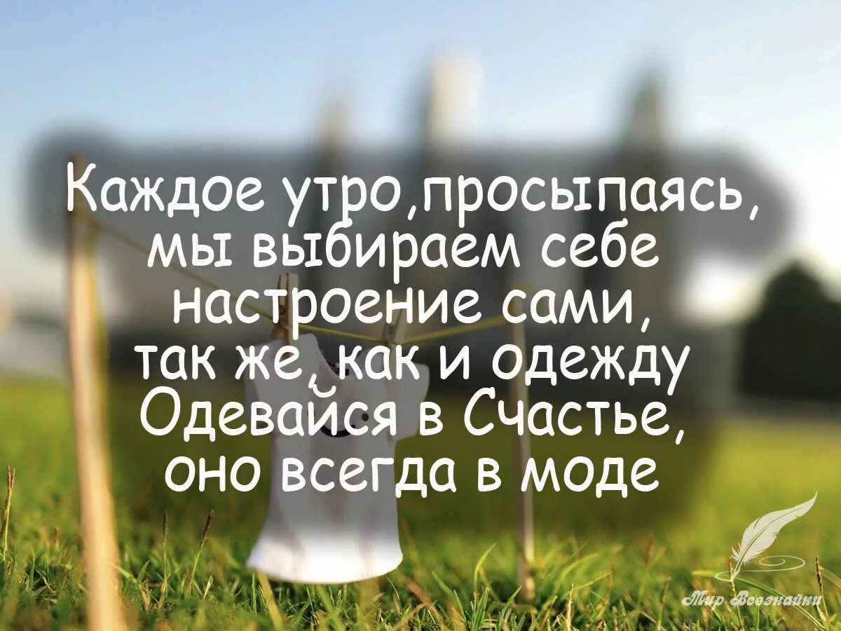 Скажи доброе слово утром. Высказывания о счастье. Позитивные высказывания. Высказывания на каждый день. Мудрые высказывания о начале дня.