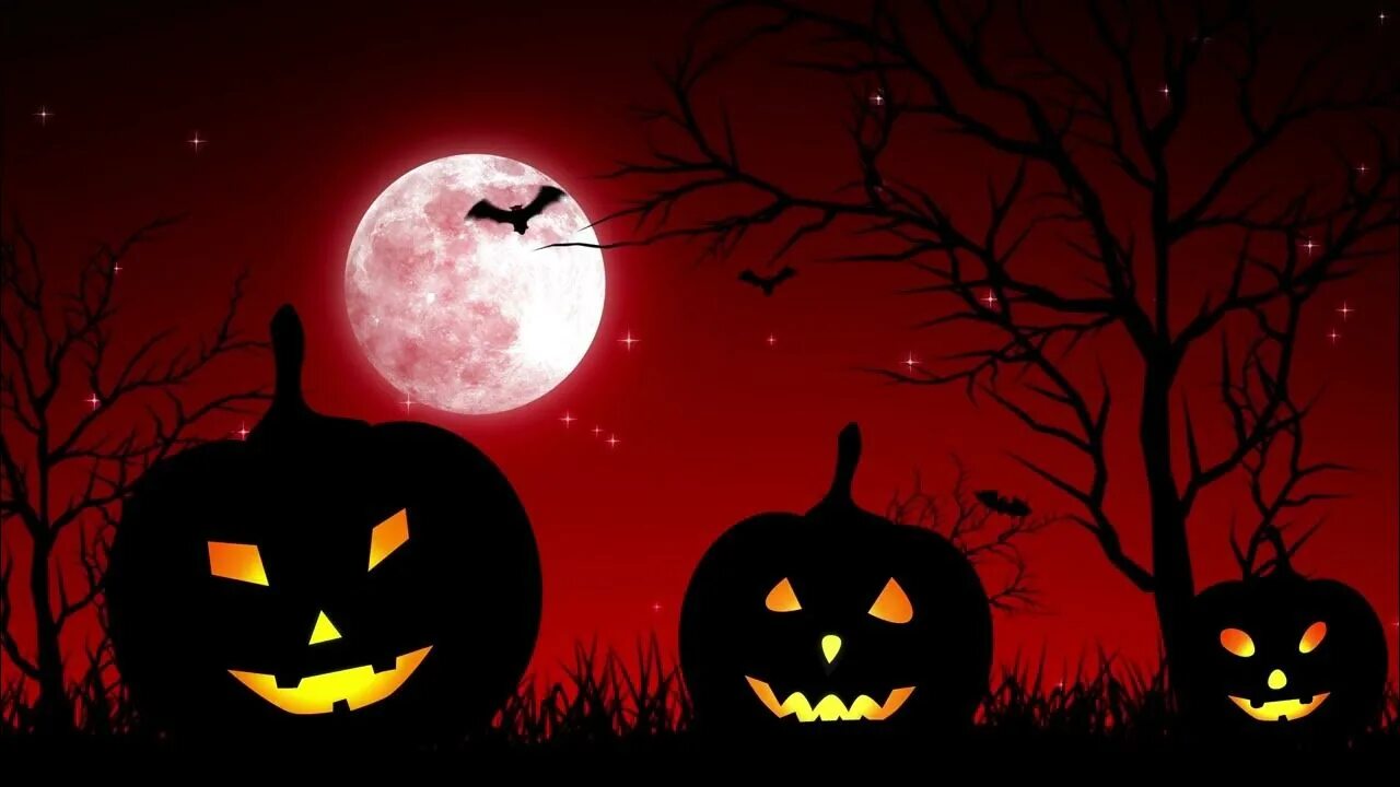 Тыква звезда. Текстура хэллоуин. Хэллоуин фон с луной. Pumpkin moon. Луна в ночь хэллоуина.