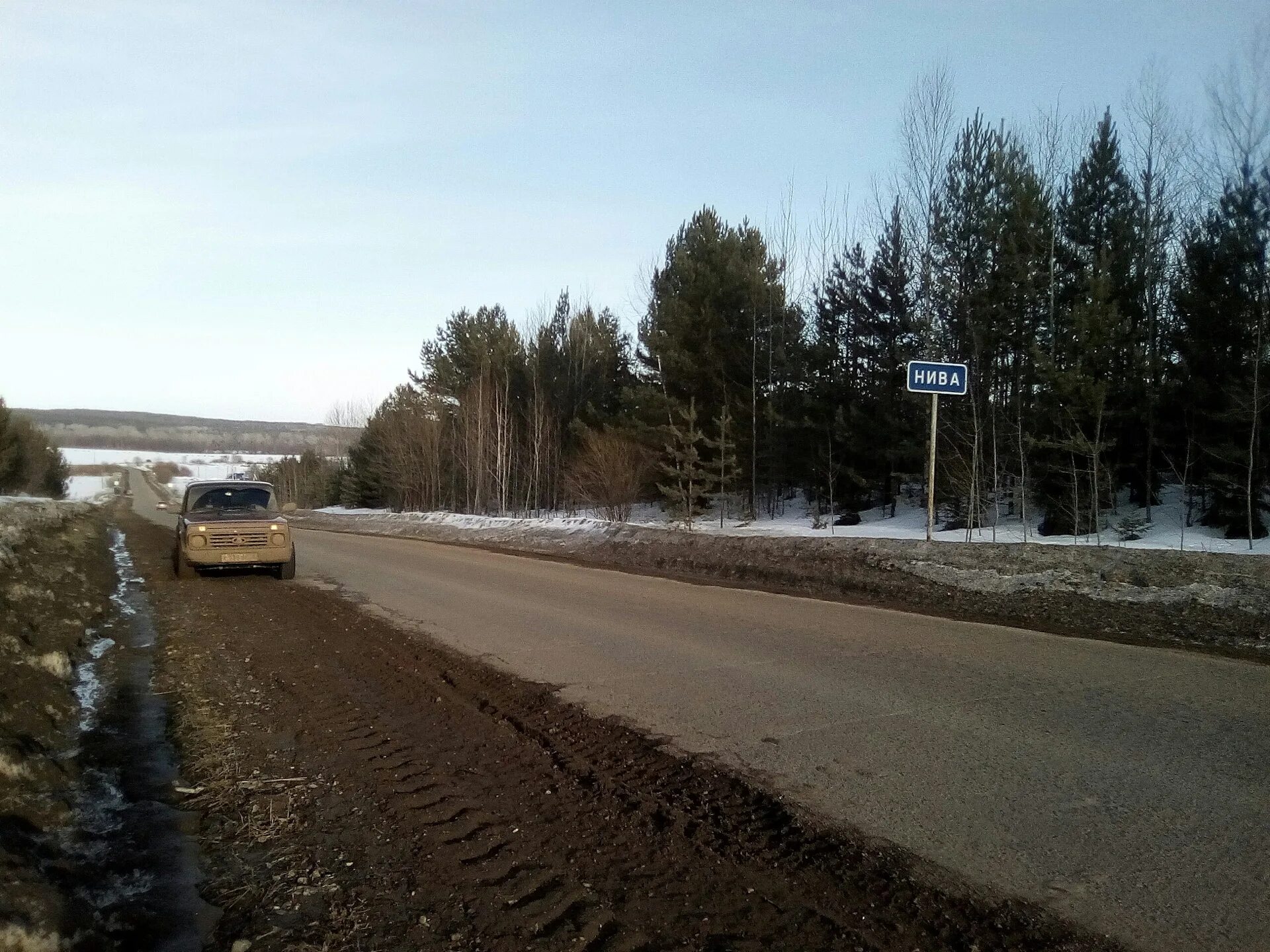 Погода нижегородская область нива