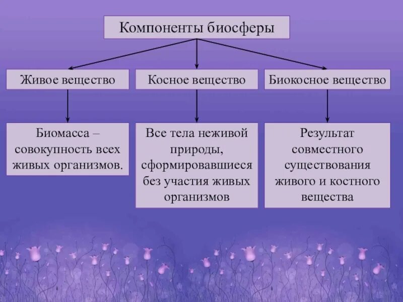 Типы вещества биология. Биогенное биокосное и живое. Классификация в и Вернадского костное биокостное живое. Биосфера живое вещество косное вещество биокосное вещество. Основные типы веществ в биосфере.