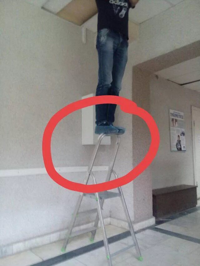 стойте придурки. Jackass 2. человек терпила. стойте придурки. фильм про 3 придурков.