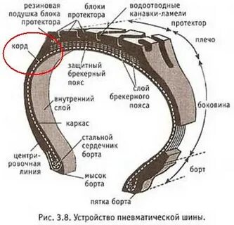 Скелет покрышки