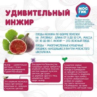 Инжир сушеный вред для организма