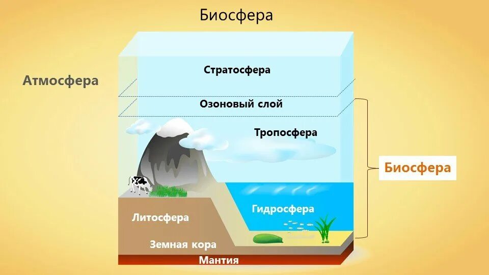 Гидросфера это оболочка земли ответ. Схема литосфера атмосфера гидросфера. Атмосфера литосфера гидросфера Биосфера Тропосфера стратосфера. Биосфера гидросфера атмосфера литосфера схема. Схема строения земли оболочки.