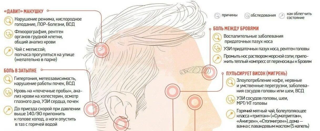 Почему болят виски головы и глаза. Болит затылок. Головная боль в затылке. Болит затылок головы. Болит макушка головы.
