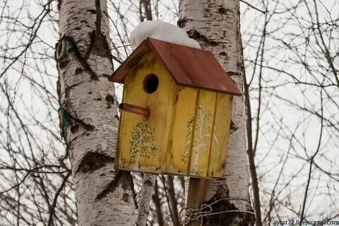 Мы очищали скворечники в вишневом саду синтаксический