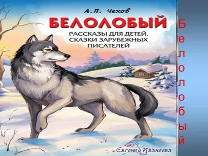 Какой рассказ белолобый