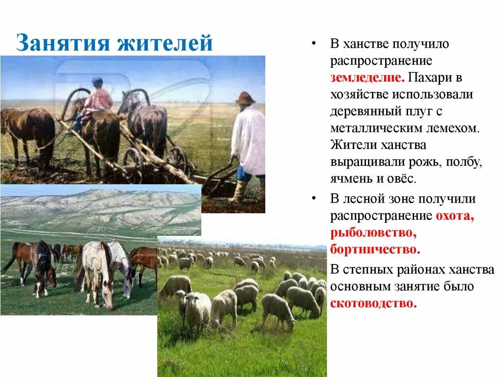 Экономика занятия. Крымское ханство занятия населения. казанское ханство занятия населения. занятия жителей. основные занятия жителей казанского ханства.