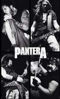 Pantera band