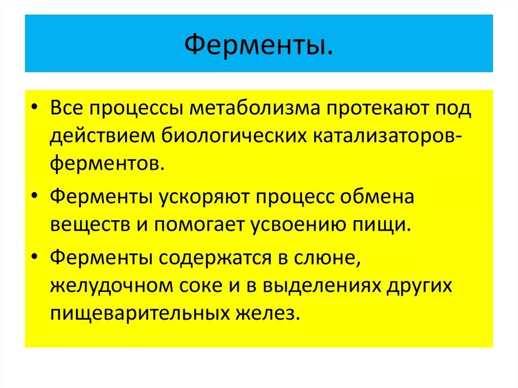 Обмен в жизни людей. Роль ферментов в процессах метаболизма. Роль ферментов в обмене веществ. Роль ферментов в реакциях обмена веществ. Значение ферментов в обмене веществ.