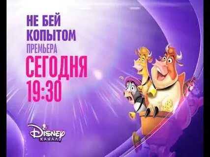 Не бейте копытом