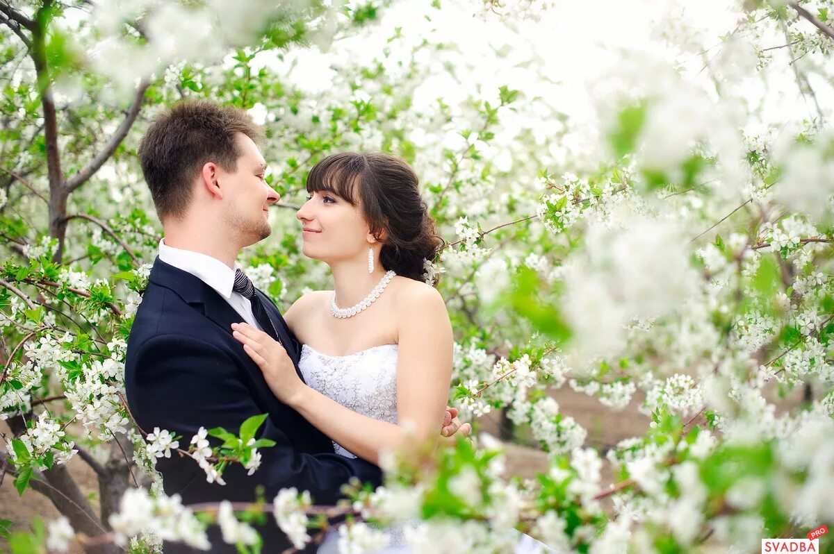 Will love in spring. Красивые влюбленные пары. Лав стори в цветущем саду. Фотосессия в цветущих деревьях. Лав стори в цветущем саду.