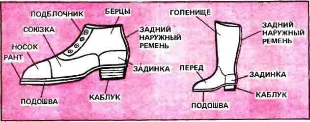 Детали обуви. Детали обуви названия. Название частей обуви. Детали верха и низа обуви. Подошва 8 букв