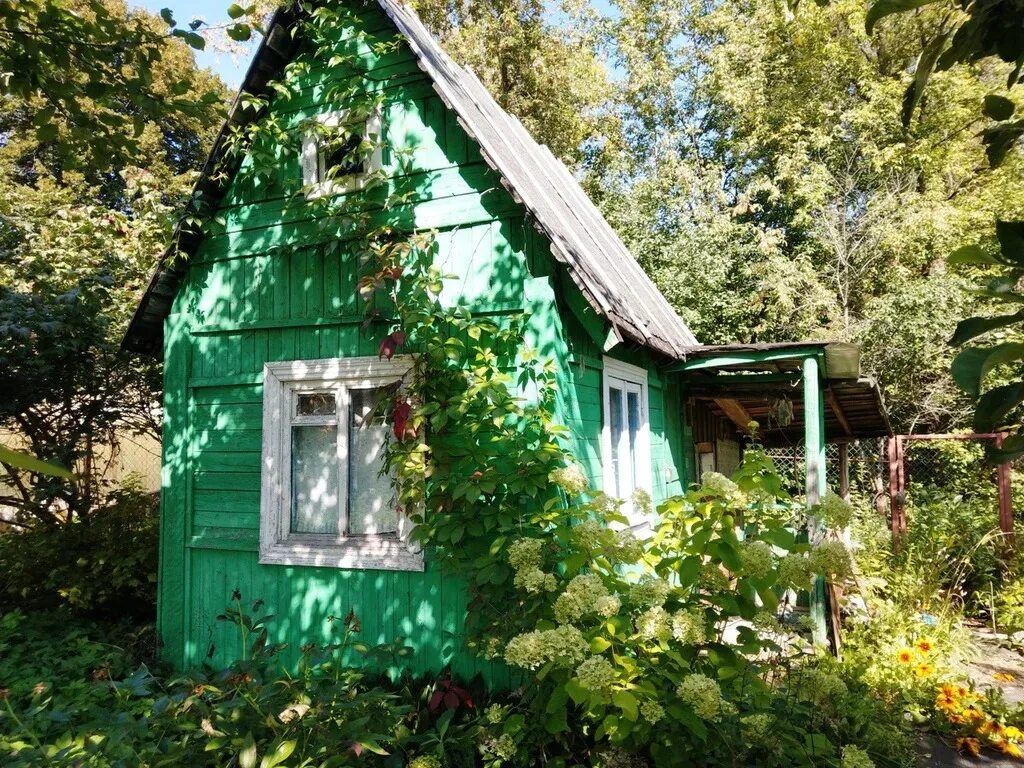 Купить дачу в дмитрове. Дмитров деревня Микишкино. СНТ гагат Дмитровский район. Дача 25 кв.м. Дача в СНТ горки Микишкино Дмитровский район.