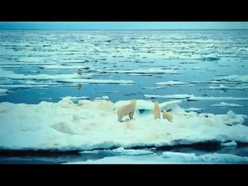 В арктику трейлер 2024. В арктику трейлер 2024. Атомный ледокол сибирь. Глобальное потепление в арктике. В арктику трейлер 2024.