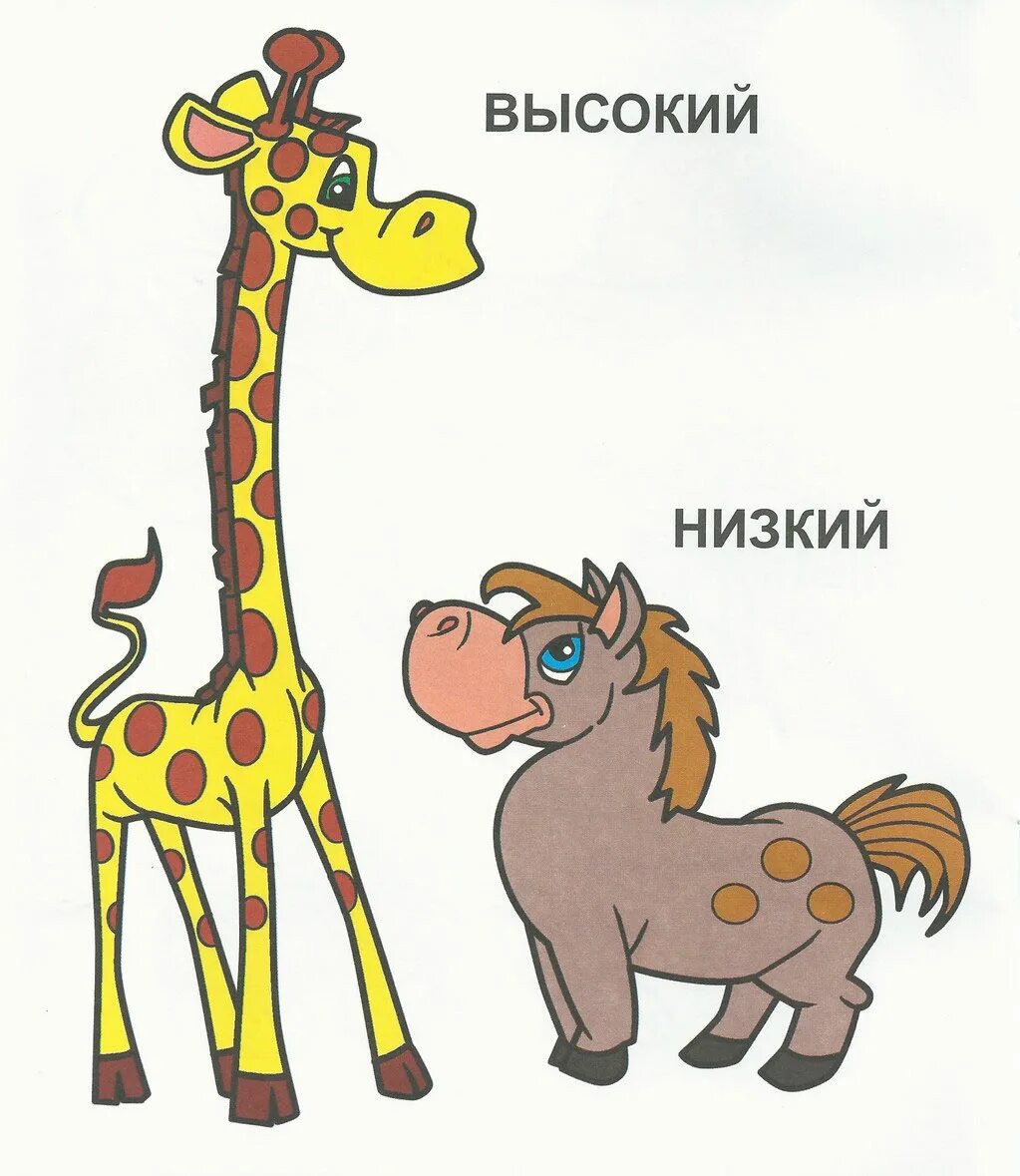 Рисунки выше