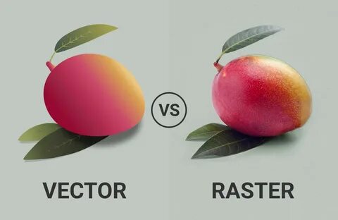 Vs graphics