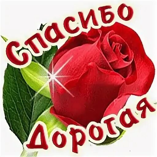 Спасибо моя дорогая всего доброго. Спасибо дорогая. спасибо дорогая картинки. открытка спасибо моя дорогая. стикер спасибо родная.
