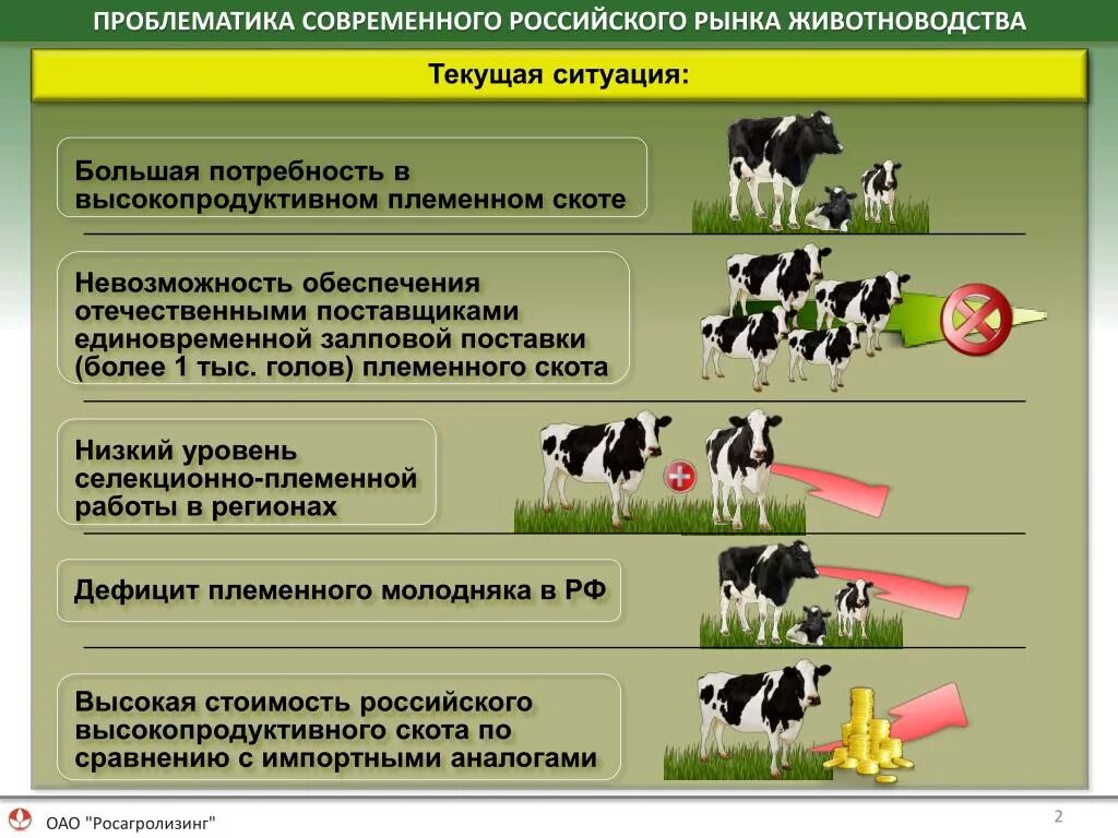 Отрасли животноводства. Схема животноводства. Перспективы развития крупного рогатого скота. Экология животноводства. Изменение требований апк