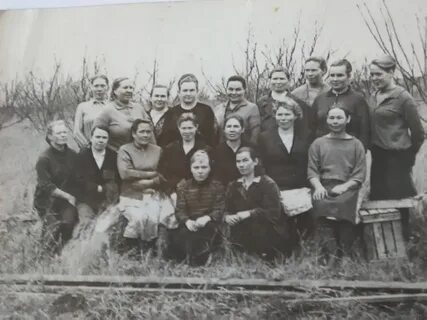 Архив совхоза