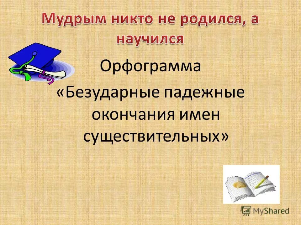 мудрым никто не родился а научился из какого произведения. мудрость сказок. пословицы к стихотворению кот и лодыри. мудрым никто не рождается. какому произведению подходит.