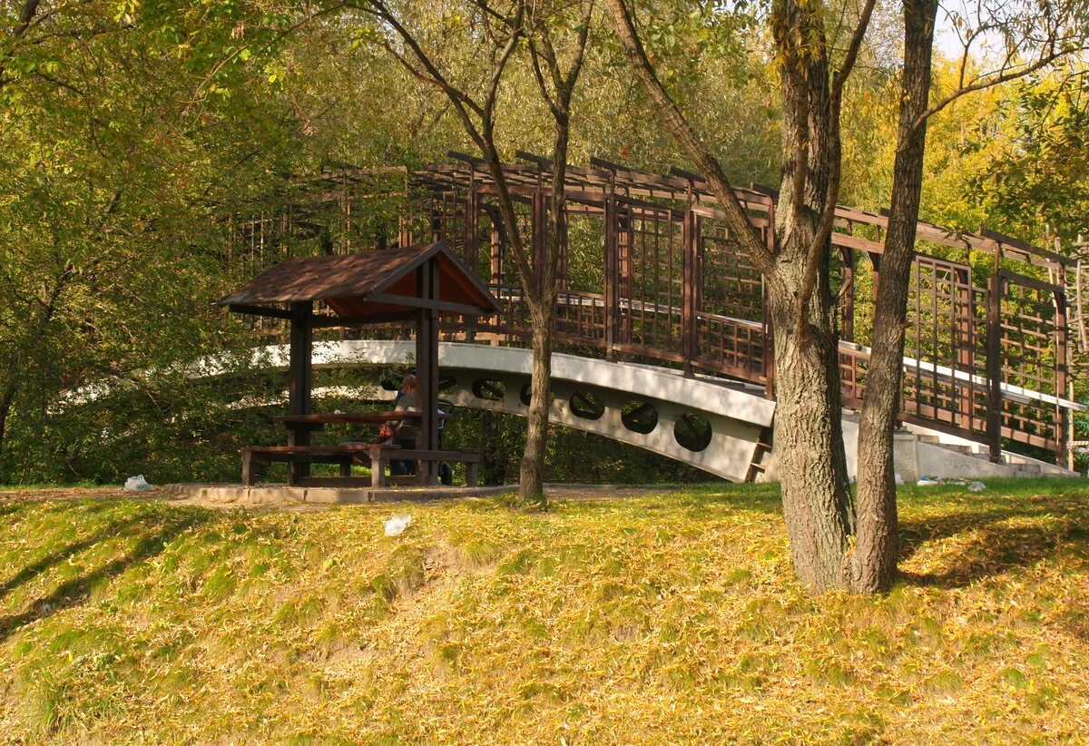 отрадное, москва. отрада отрадный самарская область. отрада отрадный. парк отрадный москва. парк отрада в отрадном.