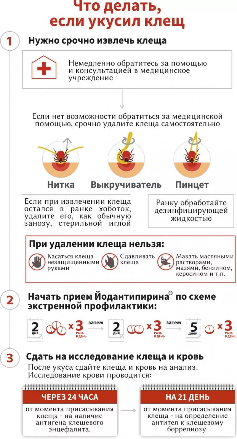 Укусил клещ лечение в домашних условиях. Алгоритм сдачи крови при укусе клеща. Что делает если укучил клещ. Что делать если укусил клещ. Что слелать если укусил клещ.