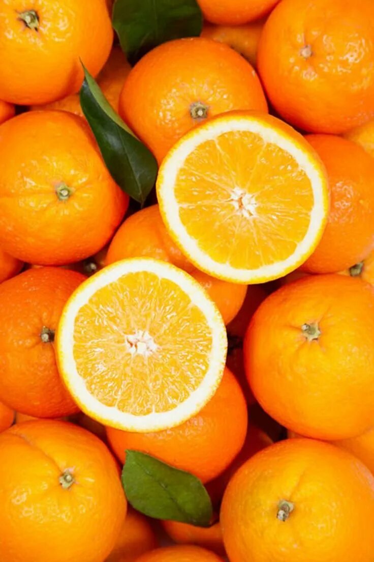 Почему мандарин оранжевый. Померанец оранж. Апельсин Гамлин. Померанец цитрусовые. Апельсин фрукт.