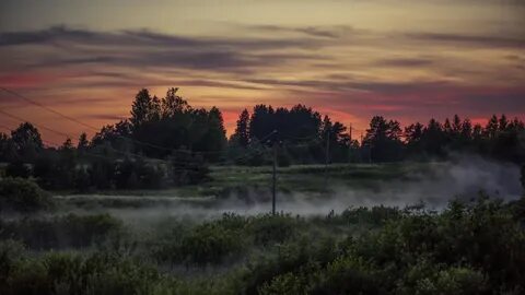 Румянец зари