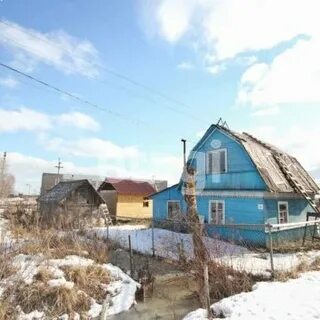 Снт ели