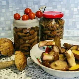 Подберезовик грибы на зиму маринованные