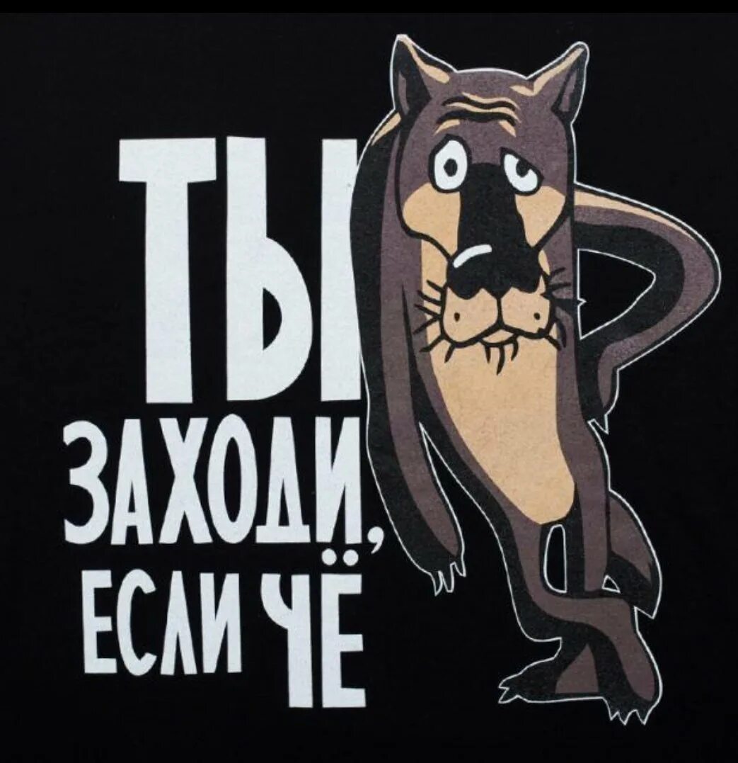 Название заходи. Ты заходи если что. Волк ты заходи если что. Ну ты это заходи если че. Волк заходи если че.