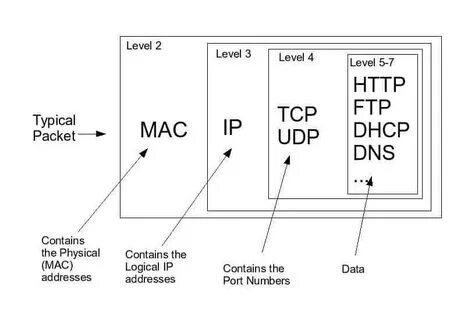 Dns dhcp udp tcp