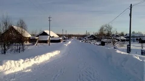 Прогноз прогнозы луза